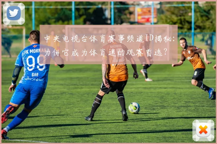 中央电视台体育赛事频道ID揭秘：为何它成为体育迷的观赛首选？