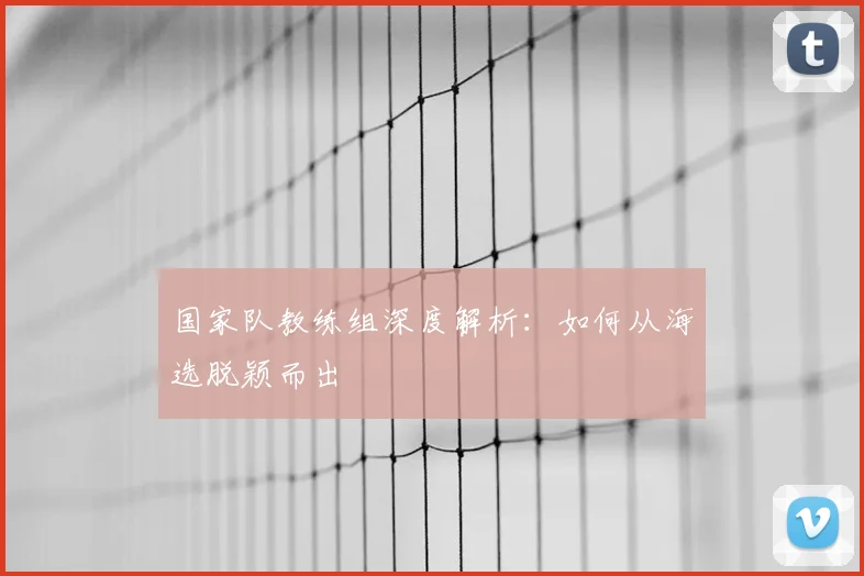 国家队教练组深度解析：如何从海选脱颖而出